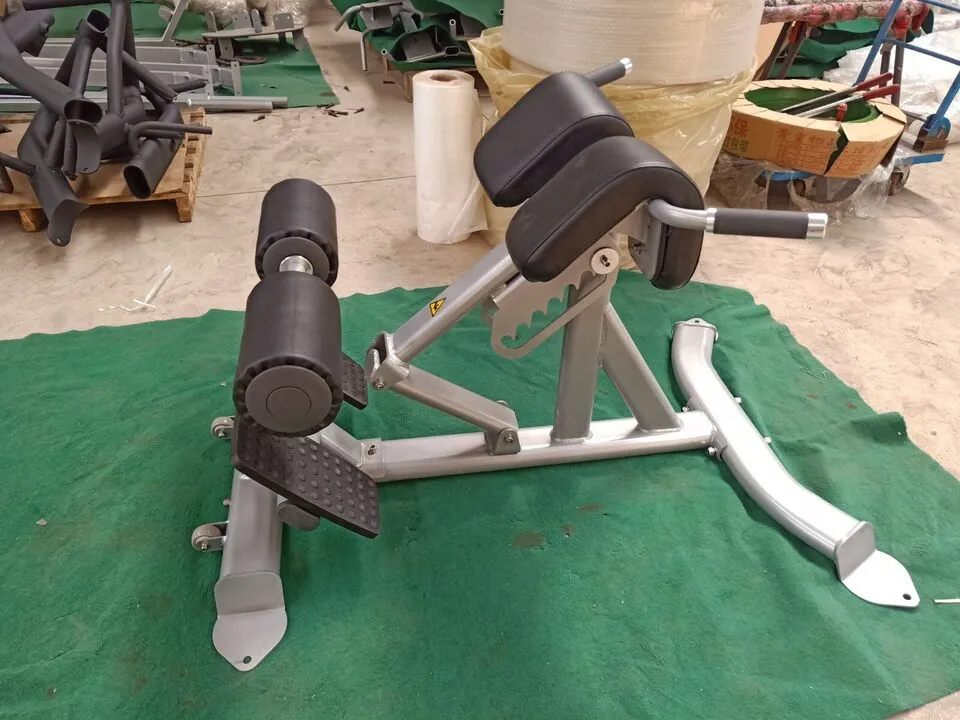 45 Degree Hyper Extension Bench Ladder Style Muscle D FW-BE