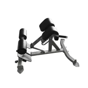 45 Degree Hyper Extension Bench Ladder Style Muscle D FW-BE