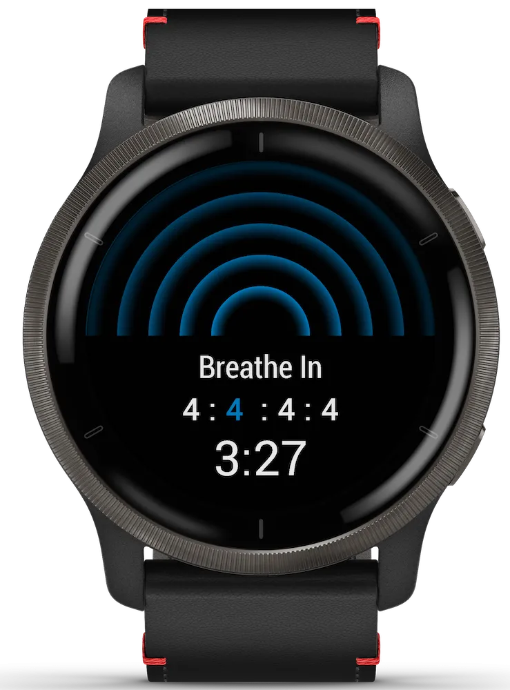 Garmin Venu 2 Slate