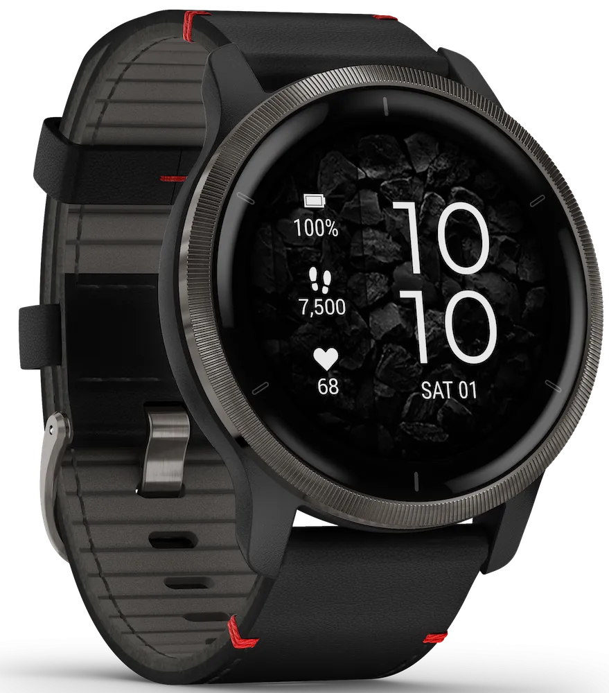 Garmin Venu 2 Slate