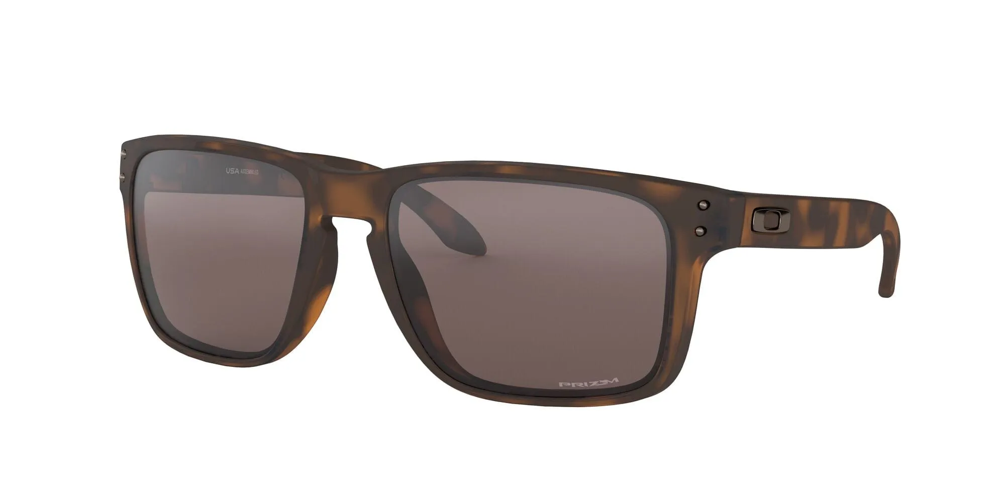Holbrook xl 941702 matte tort prizm black