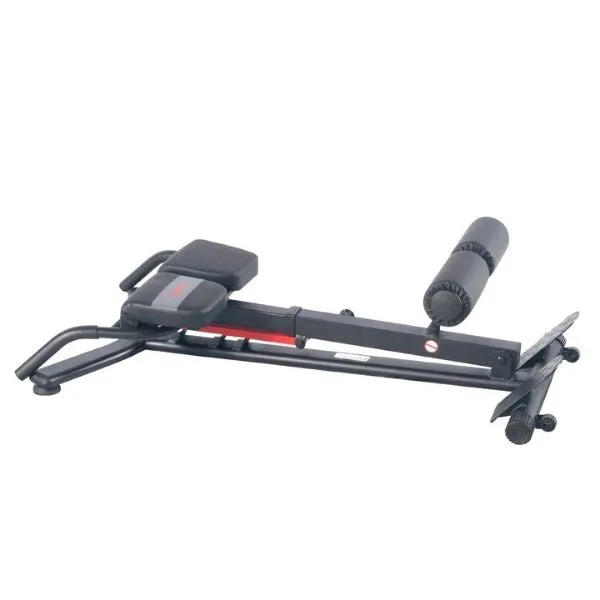 Hyperextension Roman Chair With Dip Station